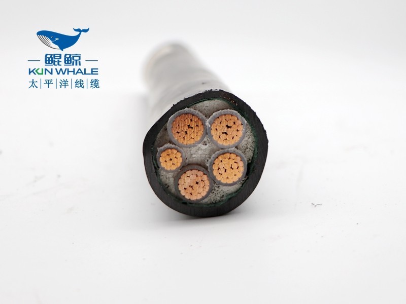 wdznyjy-4*150+1*70低煙無(wú)鹵電纜 wdznyjy-4*150+1*70